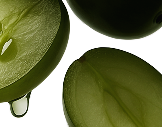 grape seed extract