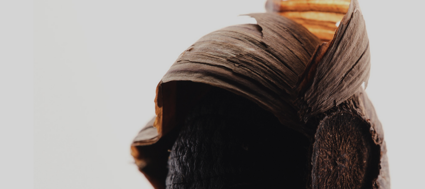 AGED BLACK GARLIC EXTRACT