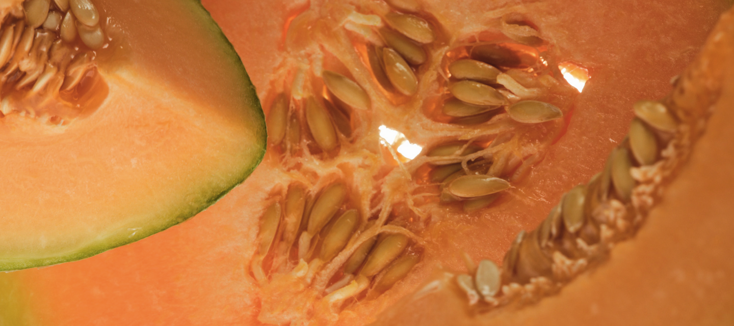 Melon juice concentrate