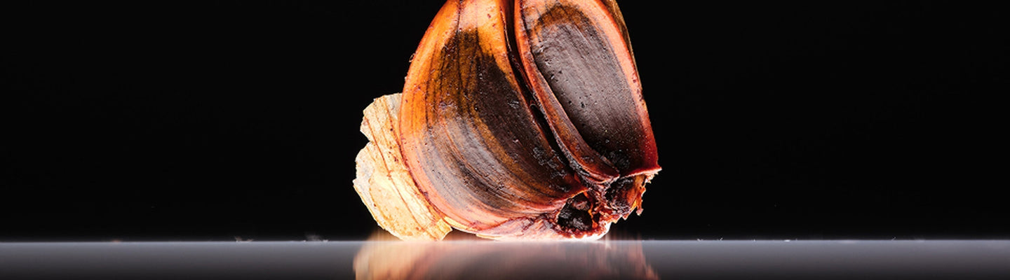 Clinical Study on Aged Black Garlic Extract and Cholesterol