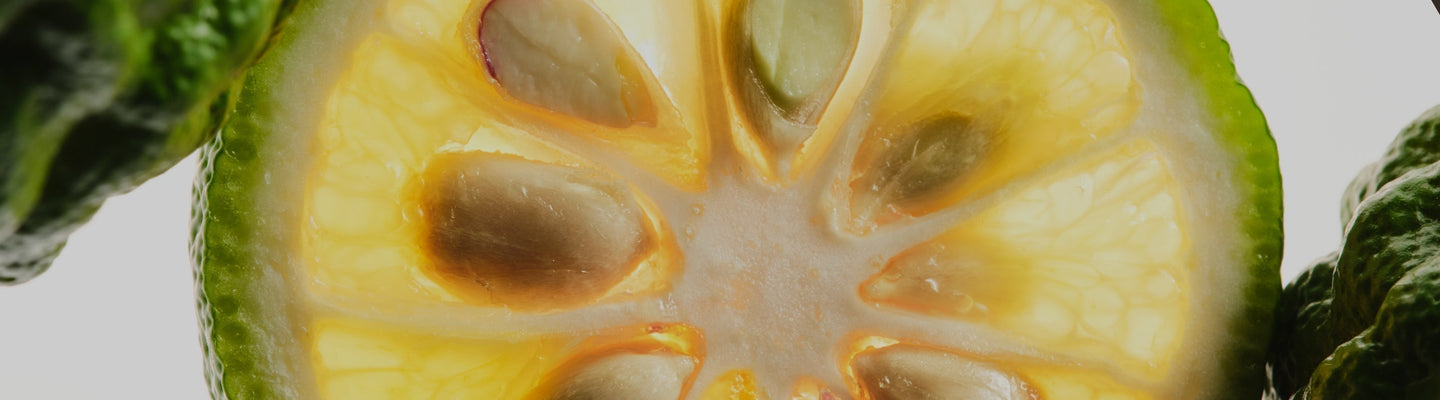 Beyond One Number: A Science-Based Look at Citrus Bergamot and Aged Black Garlic for Cholesterol Health