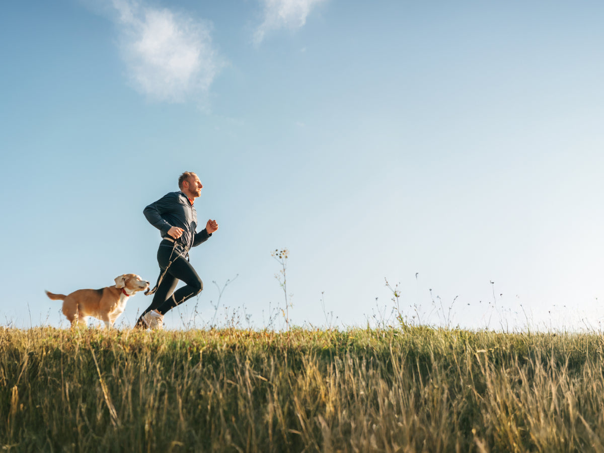 What Is Your Metabolic Health and Why Does It Matter?