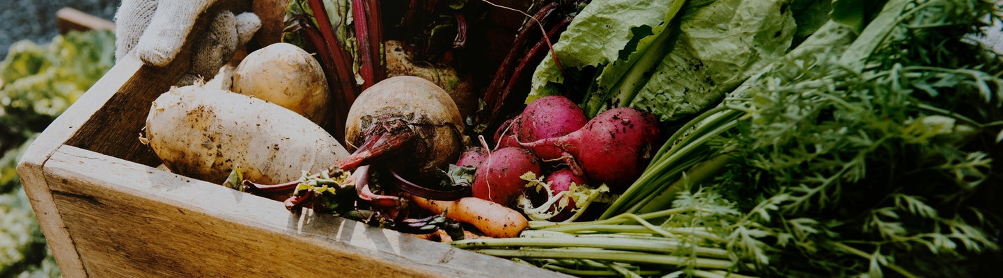 Top 5 Foods to Support Healthy Blood Pressure