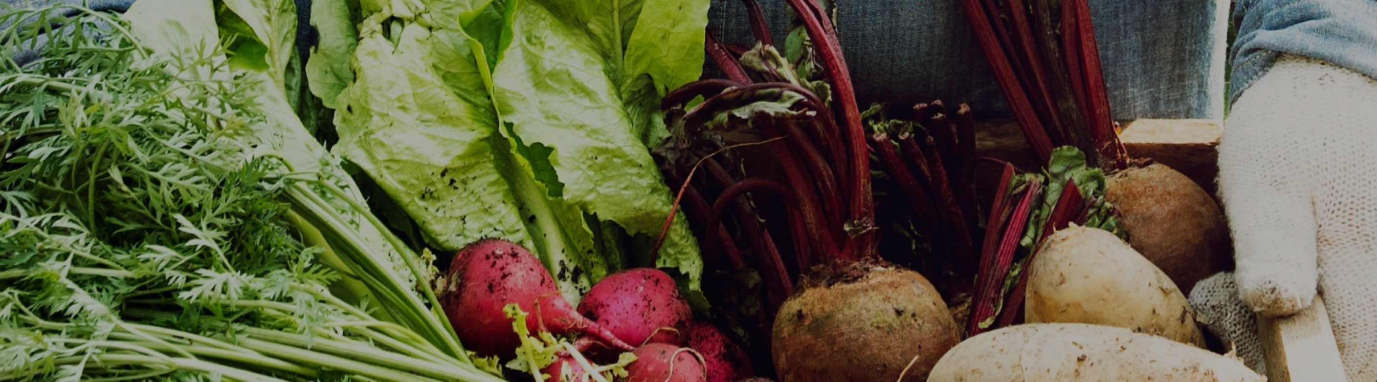 Top 7 Nitric Oxide Foods To Send Your Levels Soaring