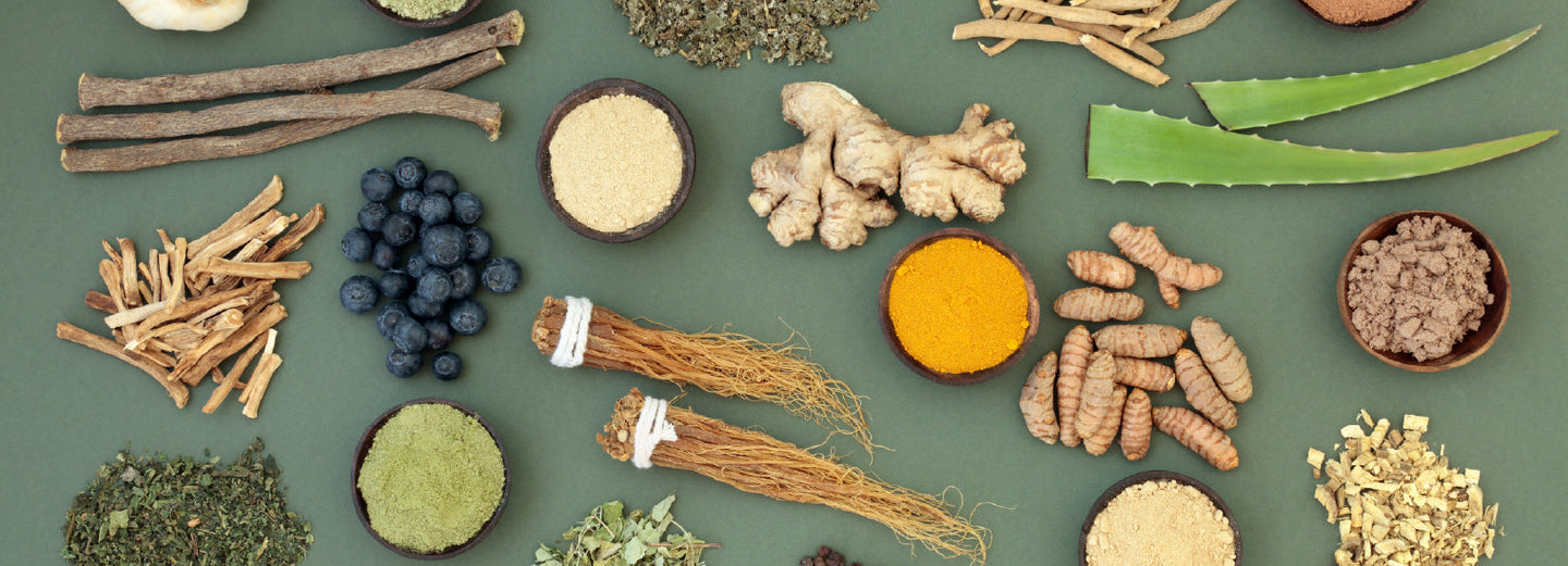 What Are Adaptogens? Get the Inside Scoop