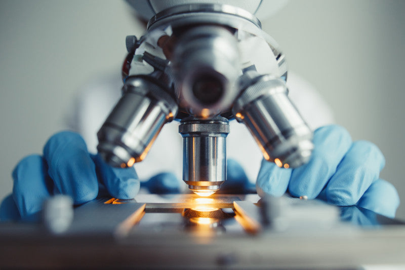 Scientist looking through microscope