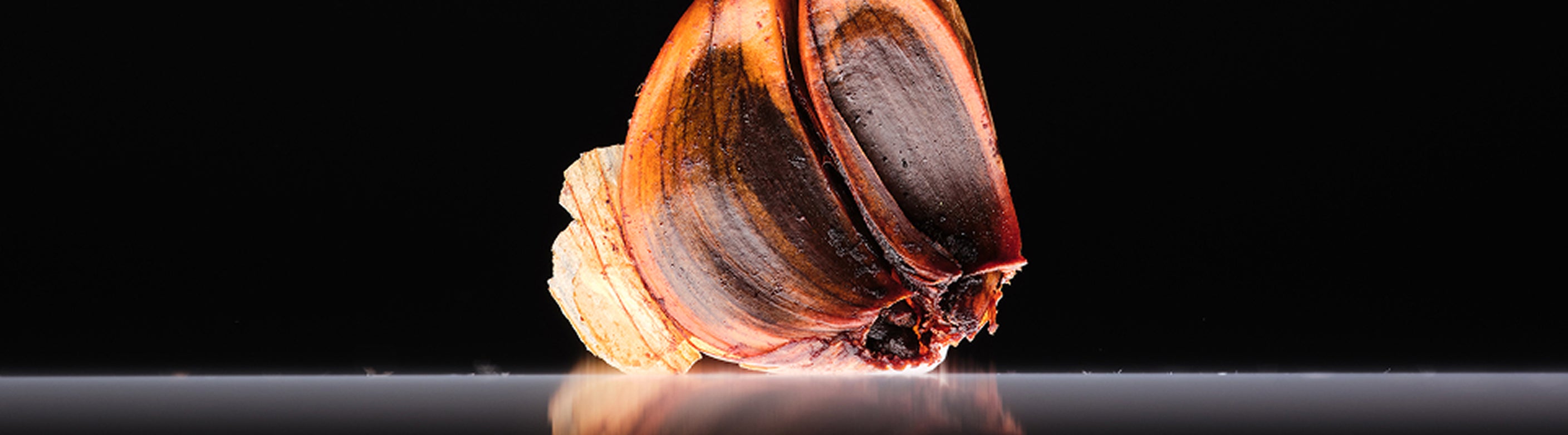 Clinical Study on Aged Black Garlic Extract and Cholesterol