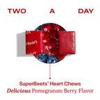Blood Pressure Bundle