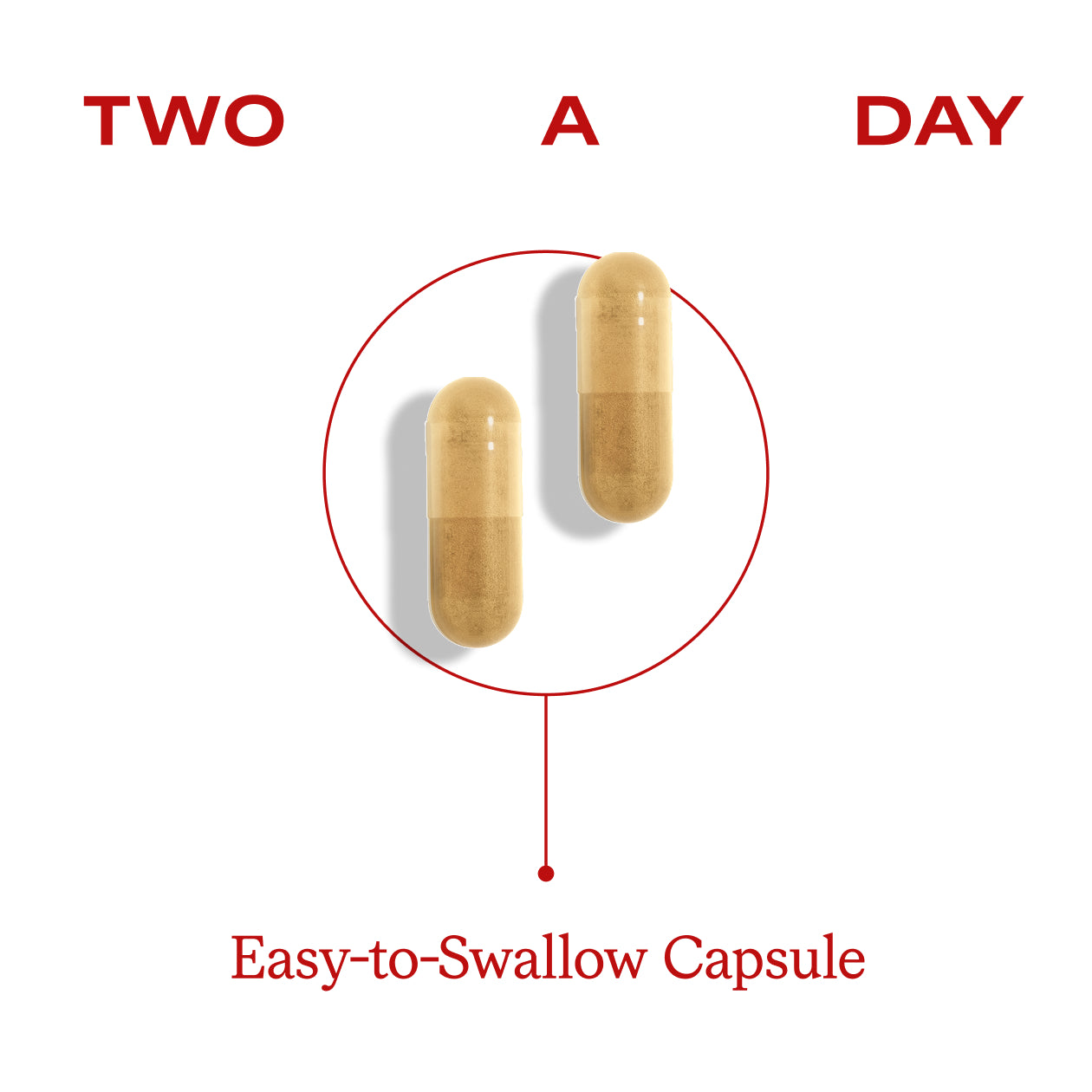 Cholesterol Daily Capsules