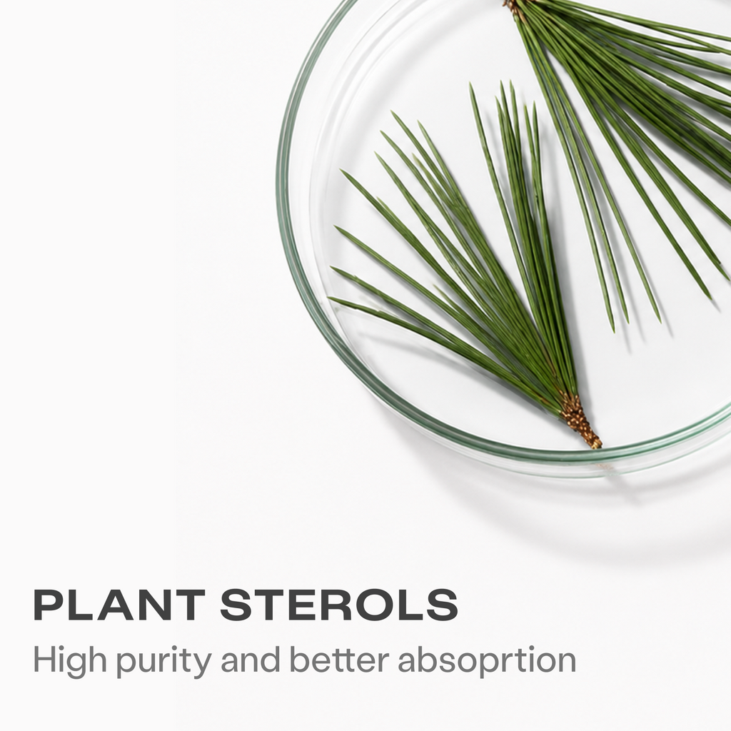 Plant sterols: high purity and better absorption