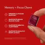Memory + Focus Chews FREE