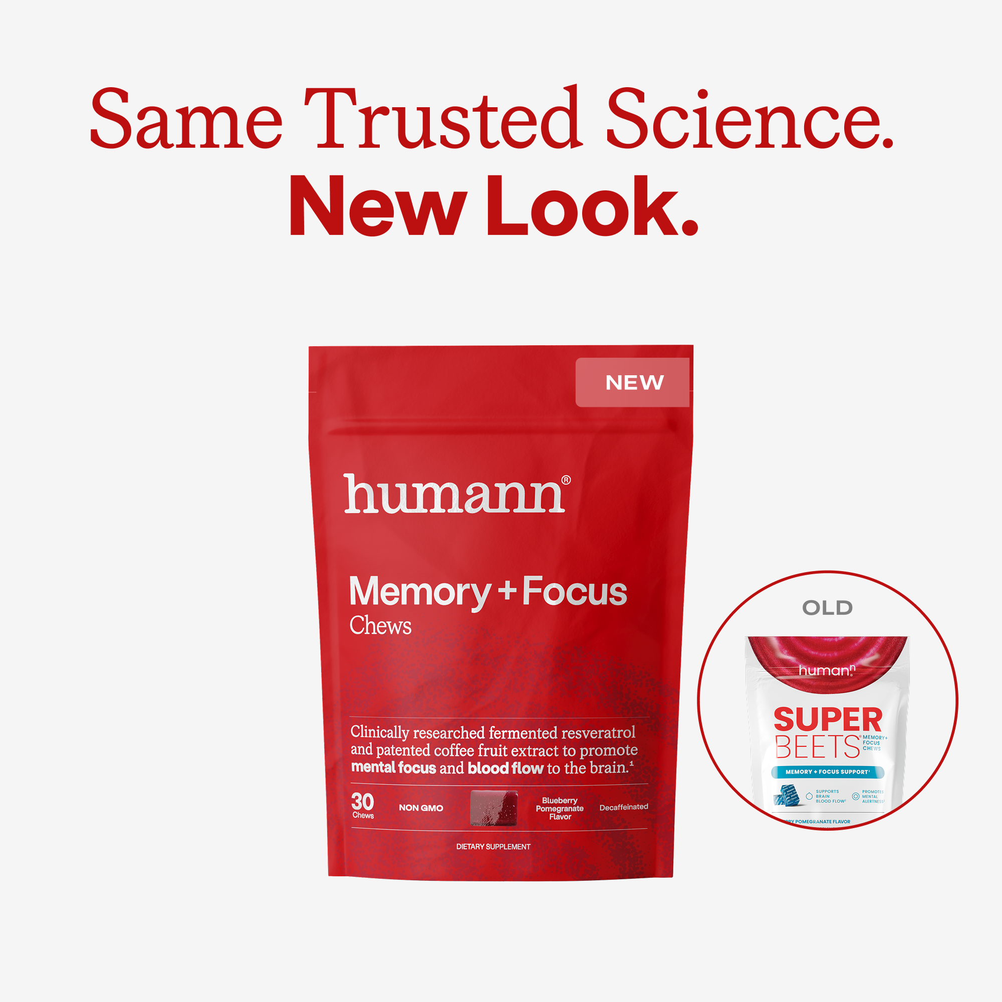 Memory + Focus Chews