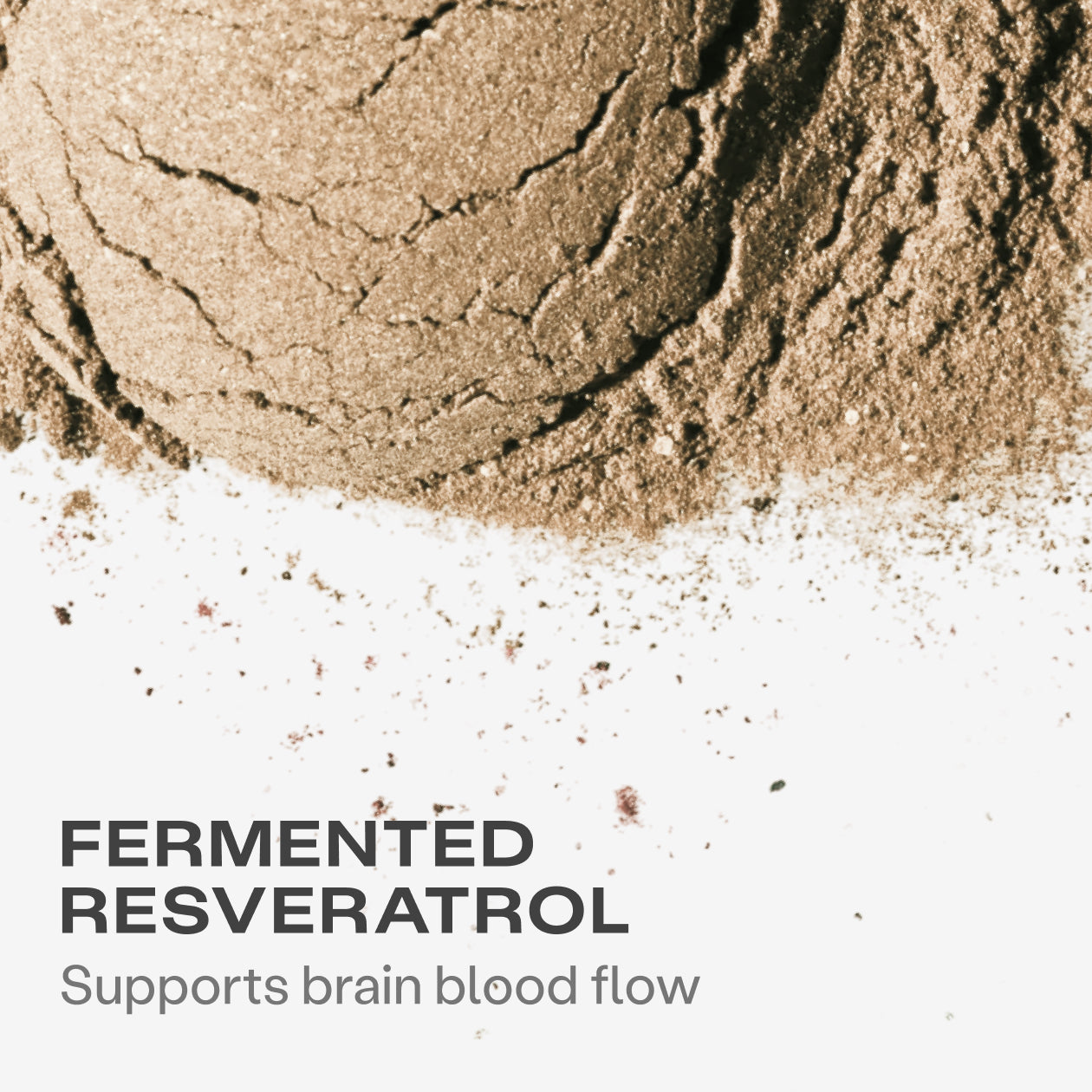 Memory + Focus Chews