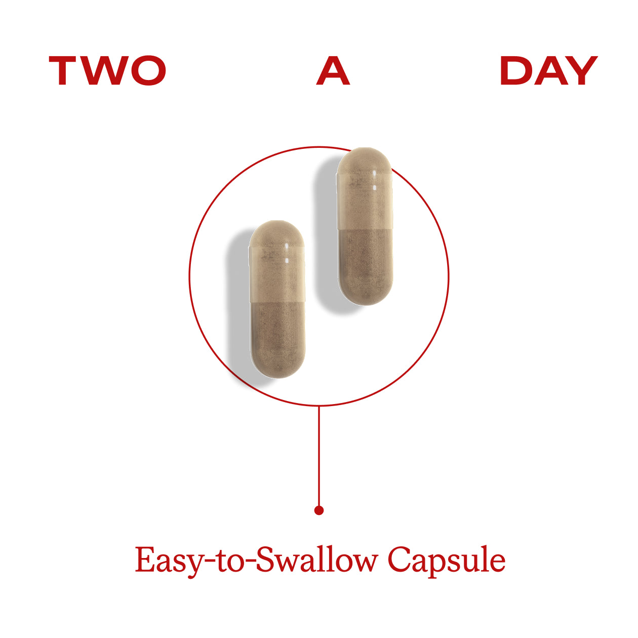 Metabolic Daily Capsules