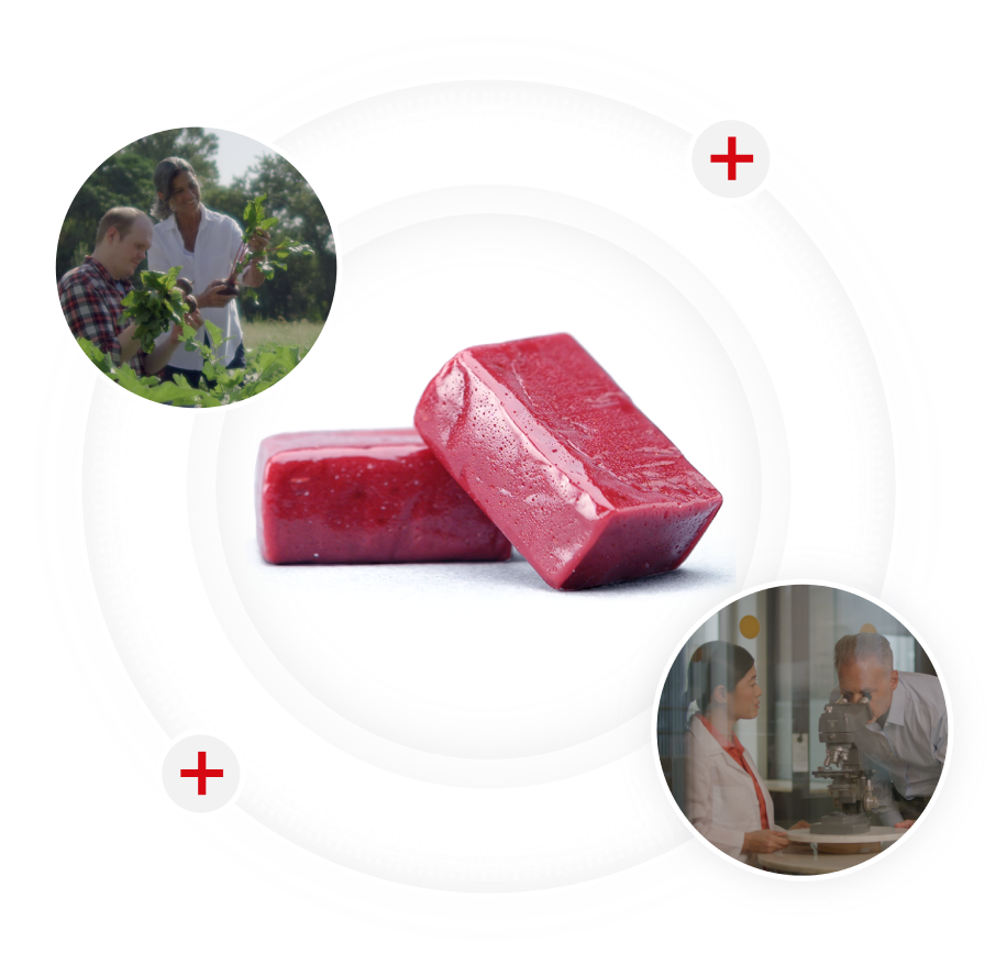 Chew Pomegranate Can You Swallow Pomegranate Seeds To Eat The