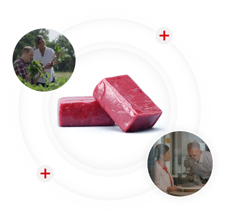 Superbeets Heart Chews Blood Pressure Support HumanN