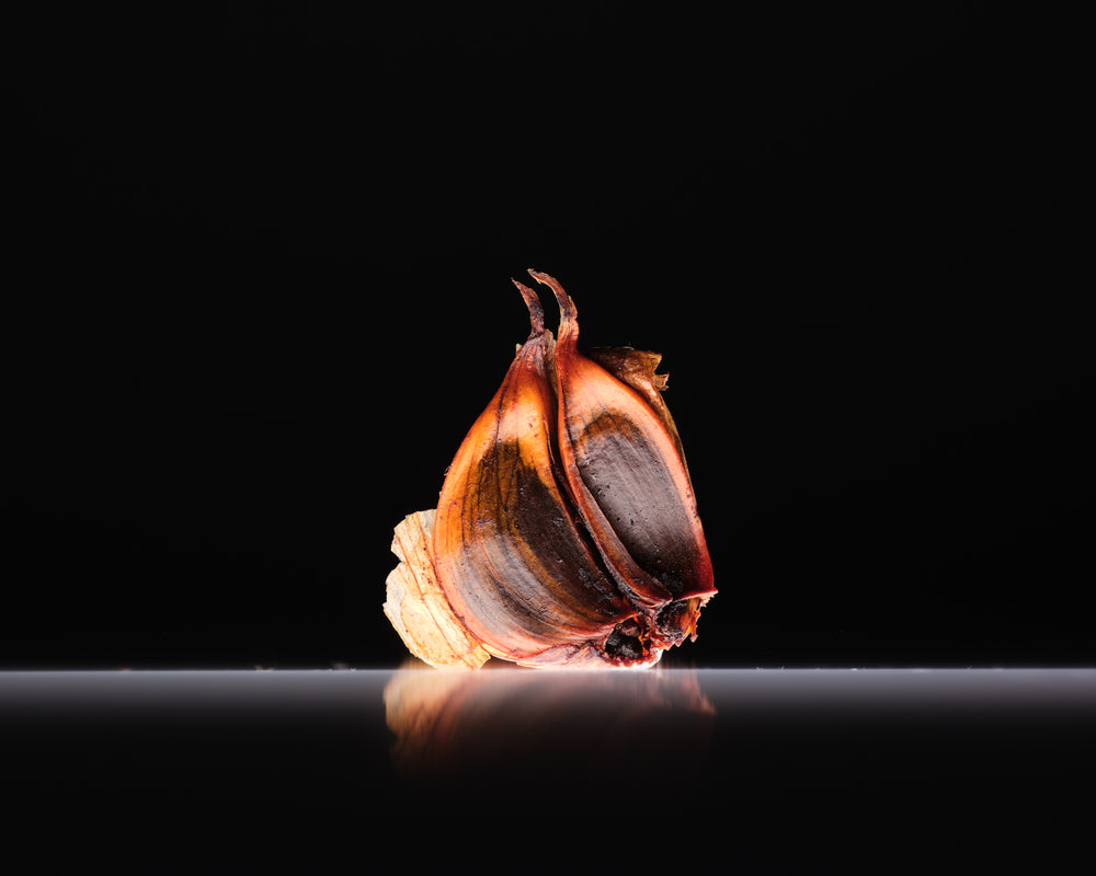 A single dried black garlic clove standing upright on a reflective black surface against a solid black background.