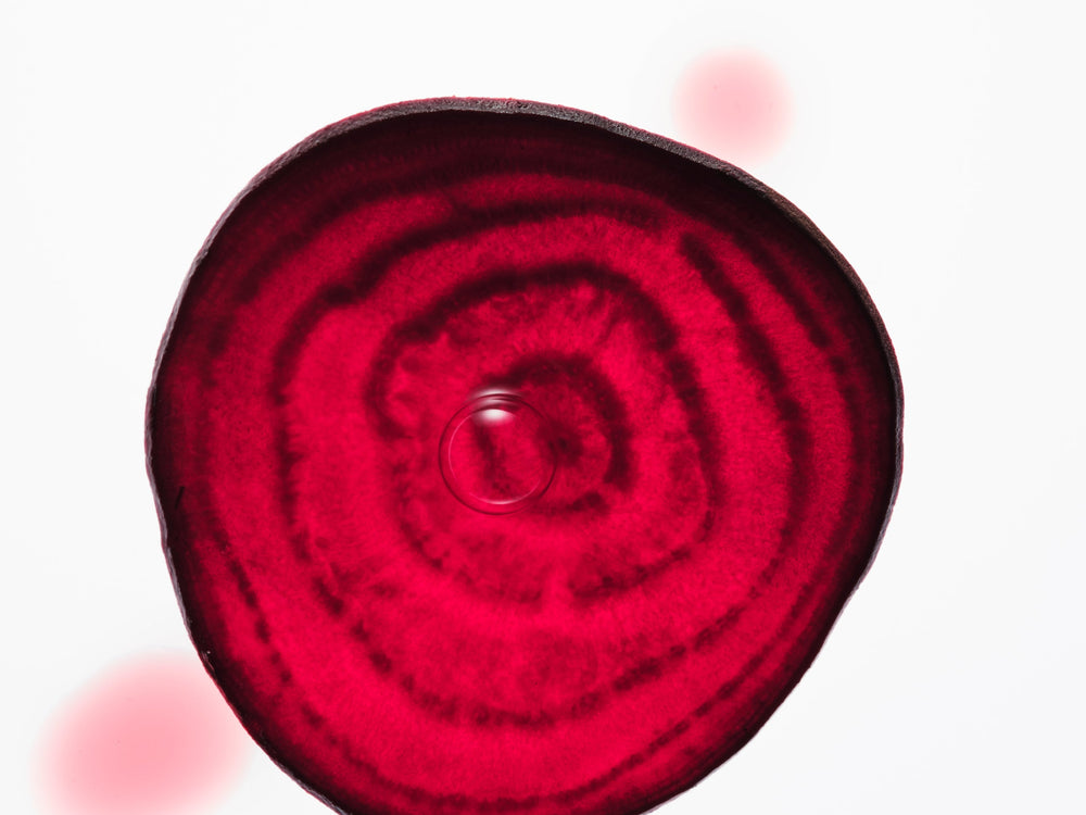 A single circular slice of red beetroot with concentric rings