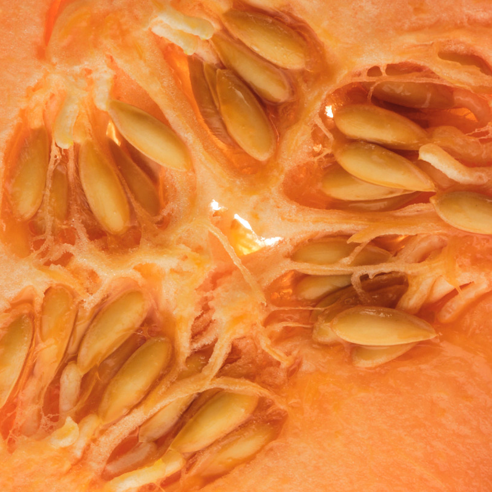 close up of a melon with seeds
