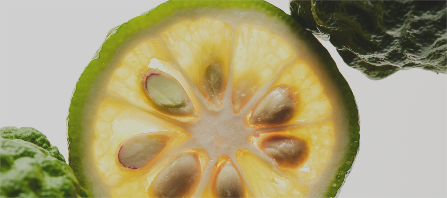 citrus bergamot EXTRACT