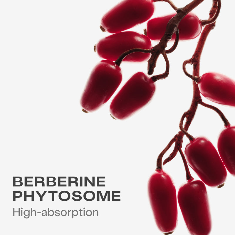 Berberine Capsules