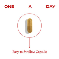 Berberine Capsules