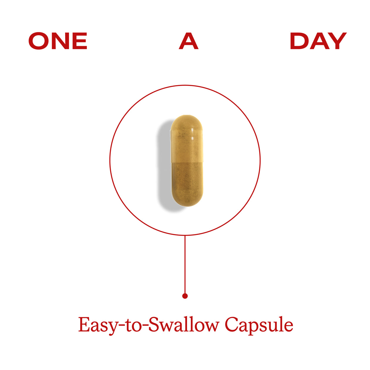 Berberine Capsules