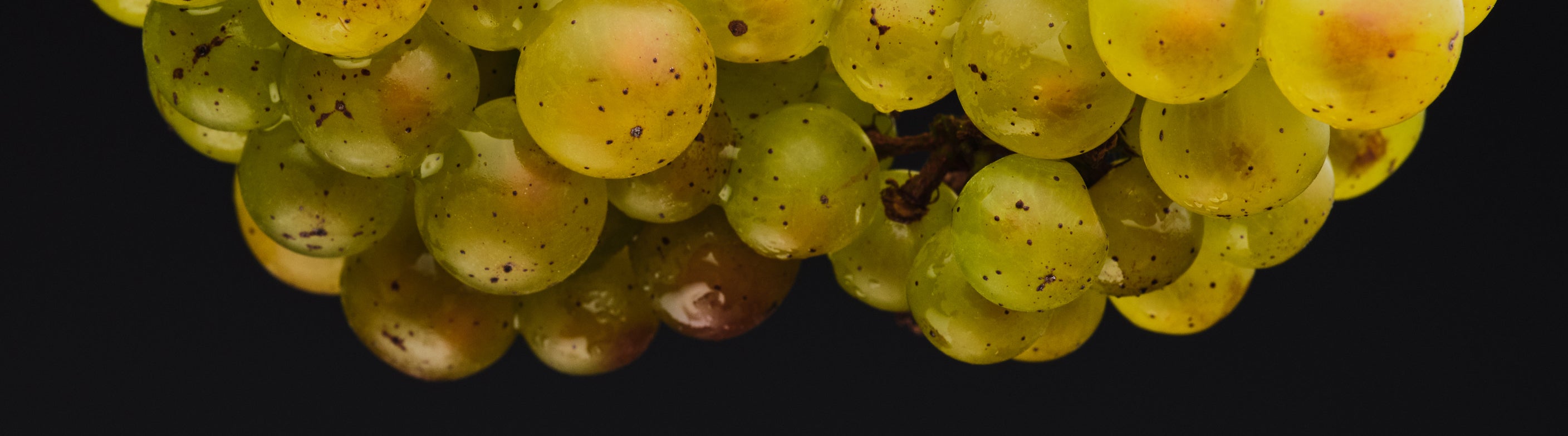 The Amazing Grape: How Grape Seed Extract Supports Cardiovascular Health