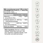 Active B-Complex