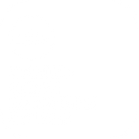 Sashimi-grade Norwegian salmon