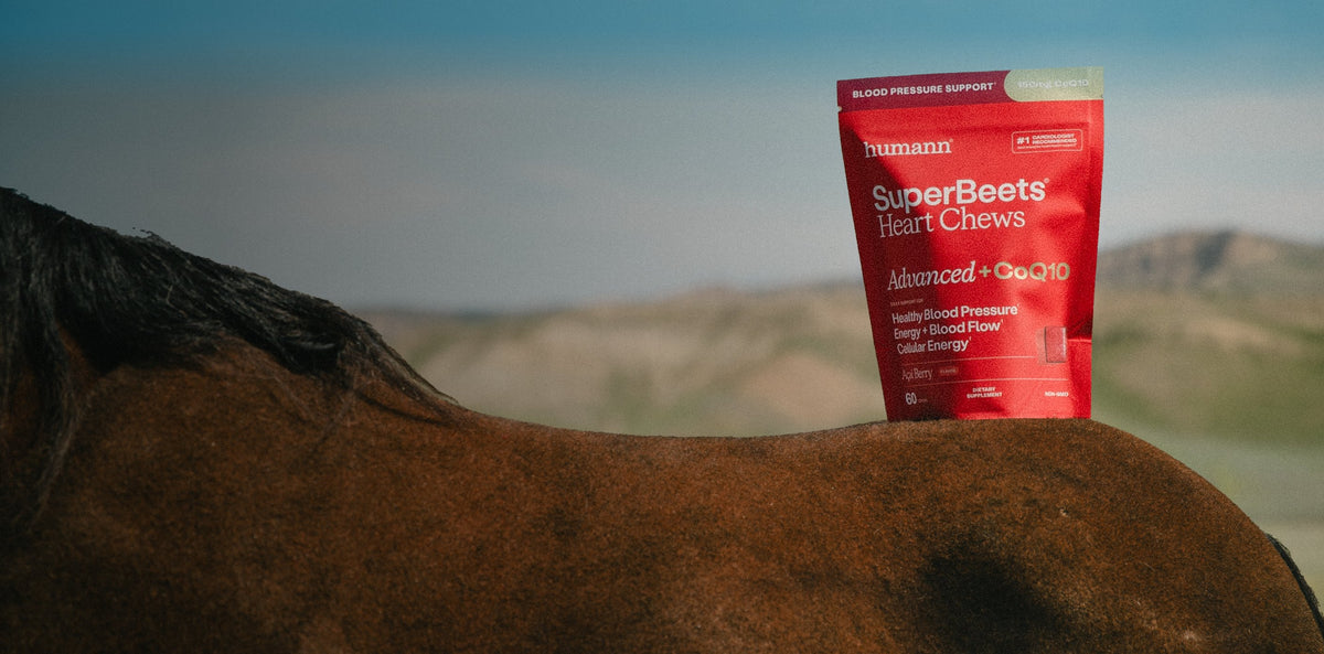 SuperBeets Heart Chews pouch balanced on a horse’s back