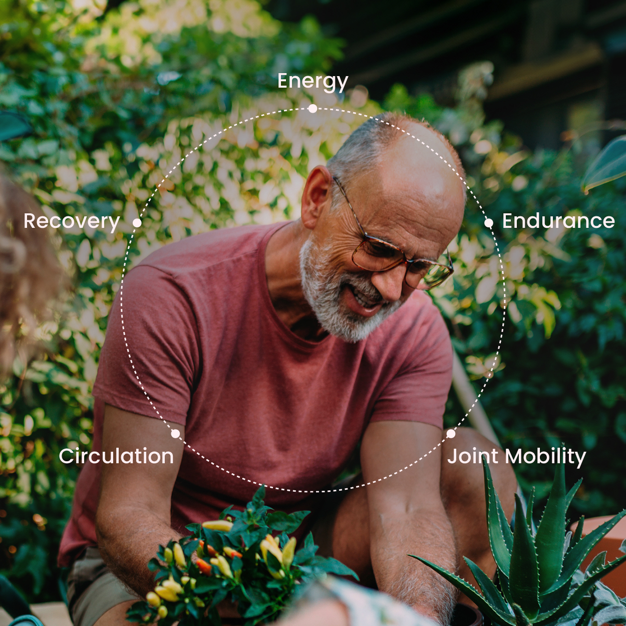 A man using a spray bottle on a large plant leaf.