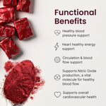 Blood Pressure Bundle