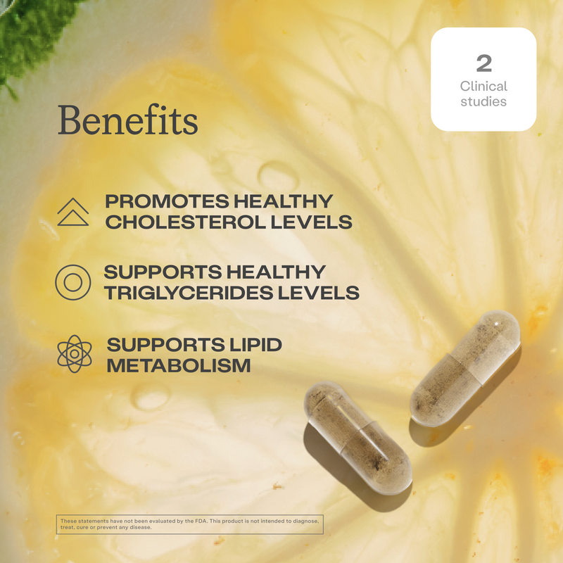 Cholesterol Health Daily